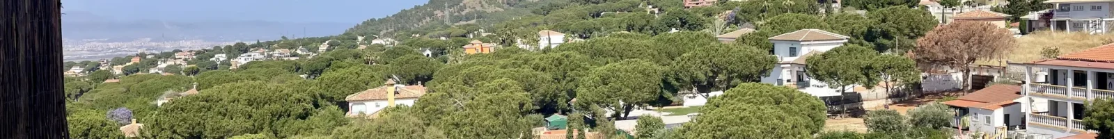 Vista panorámica de montañas verdes.